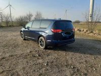 Usata Chrysler Pacifica 299 CV (219 kW) 2019 Monovolume