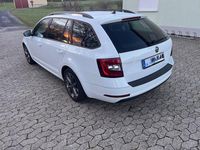 Gebraucht Skoda Octavia 150 PS (110 kW) 2017 Weiß Kombi