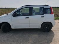 gebraucht Fiat Panda  nur 35tkm