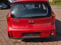 Gebraucht Kia Picanto 67 PS (49 kW) 2017 Rot Kleinwagen