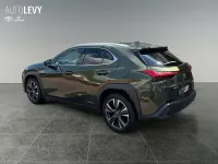 Gebraucht Lexus UX 250h 184 PS (135 kW) 2022 Grün SUV