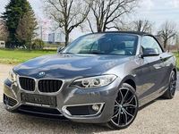 Gebraucht BMW 220 Advantage 190 PS (139 kW) 2015 Grau Cabrio