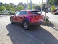 Gebraucht Mazda CX-30 Exclusive-Line 140 PS (102 kW) 2025 SUV