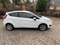 Gebraucht Ford Fiesta Individual 95 PS (69 kW) 2014 Weiß Kleinwagen