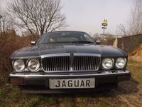 gebraucht Jaguar XJ40 ein echter (!) vom Allerfeinsten!