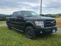 Gebraucht Ford V8 XLT 364 PS (267 kW) 2014 Grün Pickup