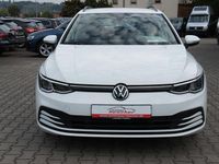 Gebraucht VW Golf VIII Life 150 PS (110 kW) 2021 Weiß Kombi