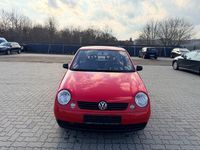 Gebraucht VW Lupo Basis 50 PS (36 kW) 1999 Rot Kleinwagen