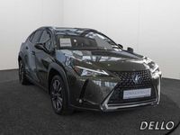 gebraucht Lexus UX 250h