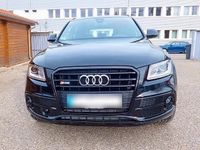 Gebraucht Audi SQ5 Competition 240 PS (176 kW) 2016 Schwarz SUV