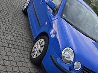 Gebraucht VW Polo 63 PS (46 kW) 2001 Blau Kleinwagen