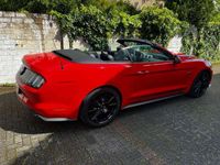 gebraucht Ford Mustang Cabrio 5.0 Ti-VCT V8 Aut. Black Shadow Edition