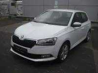 Gebraucht Skoda Fabia Cool Plus 60 PS (44 kW) 2020 Weiß Kleinwagen