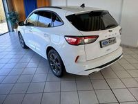 Gebraucht Ford Kuga ST-Line X 150 PS (110 kW) 2023 Frostweiß SUV