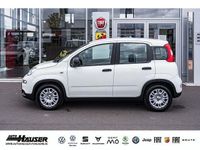 Gebraucht Fiat Panda 69 PS (50 kW) 2024 Weiss Kleinwagen