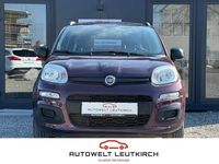 Gebraucht Fiat Panda 69 PS (50 kW) 2014 Colore esterno melanzana mical Kleinwagen