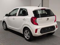 Gebraucht Kia Picanto 67 PS (49 kW) 2019 Weiß (weiss) Kleinwagen