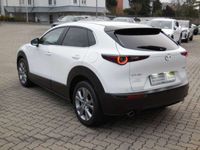 gebraucht Mazda CX-30 Selection 2WD-NAVI-SITZHEIZUNG-KAMERA-LED