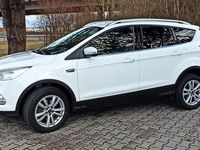 Gebraucht Ford Kuga Trend 150 PS (110 kW) 2019 Weiß SUV