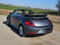 Gebraucht VW Beetle Cabriolet Allstar 105 PS (77 kW) 2016 Grau Cabrio