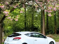 Gebraucht Renault Mégane Coupé 180 PS (132 kW) 2010 Weiß Coupé