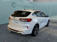Gebraucht Ford Kuga ST-Line 120 PS (88 kW) 2023 Weiß SUV