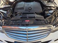 Gebraucht Mercedes E220 Edition 170 PS (125 kW) 2014 Weiß Kombi