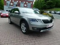 Gebraucht Skoda Octavia 150 PS (110 kW) 2018 Cappuccinobeige metallic (metallic) Kombi