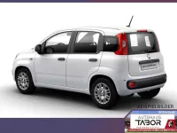 Neu Fiat Panda Pop 65 PS (47 kW) 2026 Gelato weiß Kleinwagen