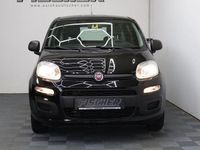 Gebraucht Fiat Panda Pop 69 PS (50 kW) 2016 Schwarz Kleinwagen