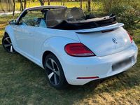 Gebraucht VW Beetle Allstar 105 PS (77 kW) 2017 Weiß Kleinwagen