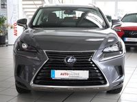 Gebraucht Lexus NX300h 197 PS (144 kW) 2020 Grau SUV