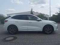 Gebraucht Ford Kuga ST-Line X 150 PS (110 kW) 2020 Weiß SUV