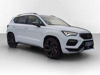 Neu Cupra Ateca VZ 300 PS (220 kW) 2026 Bila weiss SUV