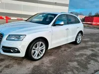 Brugt Audi SQ5 Competition 333 HK (244 kW) 2017 Hvid SUV
