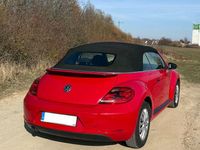Gebraucht VW Beetle Allstar 105 PS (77 kW) 2016 Rot Kleinwagen