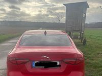 Gebraucht Jaguar XE R-Dynamic 250 PS (183 kW) 2019 Rot Limousine