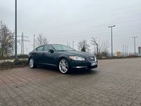 gebraucht Jaguar XF Diesel