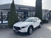 Gebraucht Mazda CX-30 122 PS (89 kW) 2022 SUV