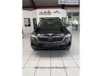 Neu Skoda Karoq Dynamic 150 PS (110 kW) 2026 Wählbar SUV