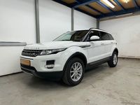Gebraucht Land Rover Range Rover evoque Pure 150 PS (110 kW) 2014 Weiß SUV