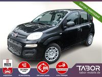 Neu Fiat Panda 69 PS (50 kW) 2025 Schwarz Limousine