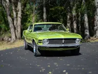 Occasion Ford Mustang Fastback 254 ch (186 kW) 1970 Vert Cabriolet