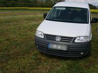 Gebraucht VW Caddy Life 104 PS (76 kW) 2010 Weiß Van / Kleinbus