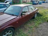 gebraucht Jaguar XJ40 