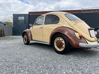 gebraucht VW Käfer Tüv neu
