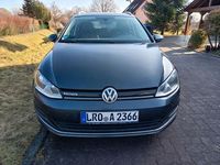 Gebraucht VW Golf VII Allstar 110 PS (80 kW) 2016 Grau Kombi