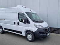 gebraucht Opel Movano Cargo L2H2 3,5t Kühlumbau Tiefkühl Klima