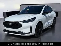Gebraucht Ford Kuga ST-Line X 186 PS (136 kW) 2026 Weiß SUV