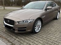 gebraucht Jaguar XE 20d 180PS Prestige AutomatikPrestige*Garantie